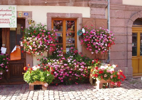 Bergheim, un village en alsace